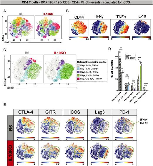 FIGURE 5. High-dimensional analysis of effector CD4 T cell function following γHV68 infection in B6 and IL-10KO mice. / Mass cytometric analysis of cells recovered from lungs of γHV68-infected B6 or IL-10KO mice harvested at 9 dpi, with cells subjected to pharmacologic stimulation for ICCS analysis using a 35-Ab panel (Table I). Files were normalized, with data gated on viable CD4 T cells, defined as 191Ir+ 193Ir+ 195Pt− 152CD3ε+ 172CD4+ 174MHC II− events, where numbers indicate isotopic mass for each measured parameter. (A) CD4 T cells were imported into PhenoGraph and clustered on 33,022 total events (3669 events from each file) and 32 markers (excluding CD3, CD4, and MHC II; Table I), identifying 16 unique clusters portrayed on a tSNE plot. (B) All events from (A) are colored by CD44, IFN-γ, TNF-α, and IL-10 expression. (C) Events from (A) are colored based on their cytokine profile, stratified based on IFN-γ, TNF-α, and IL-10 expression. (D) Frequency of CD4 T cells in virally infected B6 and IL-10KO mice. (E) Comparison of CTLA-4, GITR, ICOS, Lag3, and PD-1 expression across CD4 T cells from B6 (top row) or IL-10KO (bottom row) mice, in which IFN-γ+ TNF-α+ CD4 T cells were identified by a green boundary line. Parameters with a different maximum scale value between B6 and IL-10KO are identified by italicized text and an asterisk. Data from virally infected lungs of B6 (n = 4) and IL-10KO (n = 5) mice harvested 9 dpi, with cells stimulated with PMA and ionomycin for 5 h prior to ICCS. Data for B6 mice were also included in Fig. 1, subjected to different clustering parameters (as outlined in Table I). Data show mean ± SEM with individual symbols denoting individual mice, with statistical analysis done by unpaired t test, corrected for multiple comparisons using the Holm-Sidak method. **p < 0.01, ***p < 0.001, ****p ≤ 0.0001. ns, not significant.