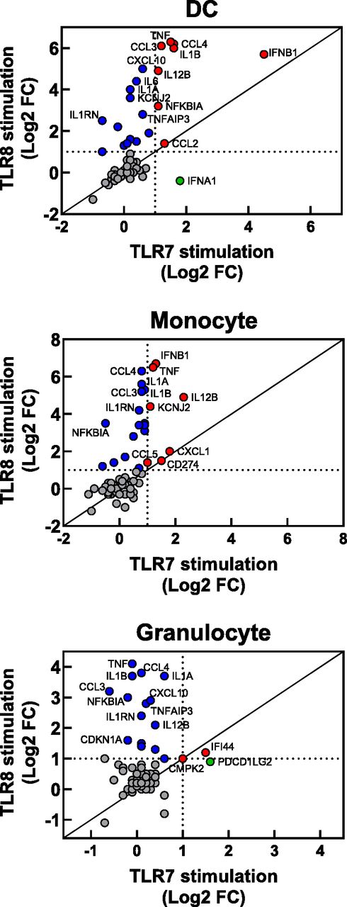 FIGURE 5. Correlation of TLR7 and TLR8 stimulation effects on gene expression in myeloid cells. / The log2 fold change induced by TLR7 or TLR8 activation is plotted for the three most highly activated cell types from Fig. 3. Genes induced specifically by TLR7 are colored green, by TLR8 specifically are colored blue, and by both TLRs are colored red. The data presented are the average of two experiments using two separate donors.