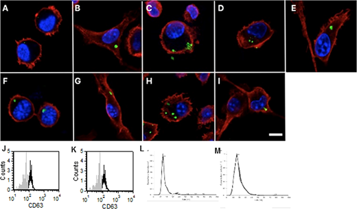 FIGURE 1. EVs secreted by tumor cells can be taken up by monocytes. EVs were isolated from tumor cells GL261 (A), NCTC (C), CT26 (D), K12 (F), B16 (H), and control glia (B), fibroblast (E), osteoblast (G), and melanocytes (I) and labeled with CFSE (green). The EVs were placed on bone marrow–derived monocytes for 2 h, and the monocytes were labeled with Ab for CD11b (red). DAPI (blue)-stained cellular nuclei. The cells were imaged on a confocal microscope, scale bar = 10 μm. EVs were isolated and incubated with fluorescently labeled Ab for CD63 and analyzed by flow cytometry (black line) compared with isotype control (gray) shown for glia (J) and GL261 (K). EVs were isolated and analyzed on NanoSight to determine size, shown for glia (L) and GL261 (M). These are representative images from one experiment of four independent repeated experiments.