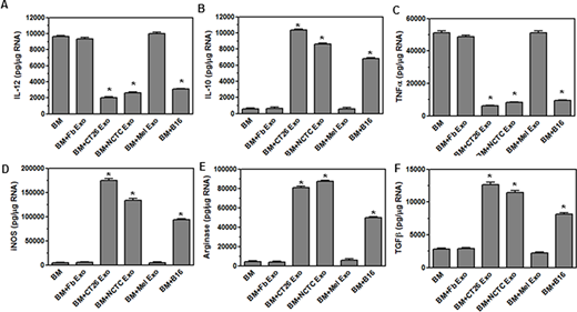 FIGURE 3. EVs secreted by colon carcinoma, sarcoma, and melanoma tumor cells promote expression of suppressive cytokines and effector molecules by monocytes. EVs were isolated from fibroblast (Fb), CT26, NCTC 2472, melanocytes (Mel), and B16OVA cell lines. The EVs were placed on bone marrow–derived monocytes for 4 d, after which the cells were lysed. The RNA was isolated from lysates, converted to cDNA and used in real-time PCR with primers for IL-12 (A), IL-10 (B), TNF-α (C), iNOS (D), arginase (E), and TGF-β (F). Significant difference was determined by the one-way ANOVA and Bonferroni multiple comparison test (*p < 0.001) based on bone marrow–derived monocytes without EVs added. These are representative graphs from one experiment of five independent repeated experiments.