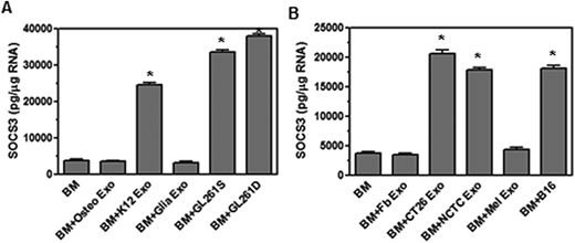 FIGURE 4. EVs secreted by tumor cells promote the upregulation of SOCS3 in monocytes. EVs were isolated from osteoblast (osteo), K12, mixed glia, GL261 stem cell (GL261S), GL261 differentiated (GL261D) cells (A). EVs were isolated from fibroblast (Fb), CT26, NCTC 2472, melanocytes (Mel), and B16OVA cell lines (B). The EVs were placed on bone marrow–derived monocytes for 4 d. The monocytes were lysed, RNA isolated and converted to cDNA and used in real-time PCR with primers for SOCS3. Significant difference was determined by the one-way ANOVA and Bonferroni multiple comparison test (*p < 0.001) based on bone marrow–derived monocytes without EVs added. These are representative graphs from one experiment of four independent repeated experiments.