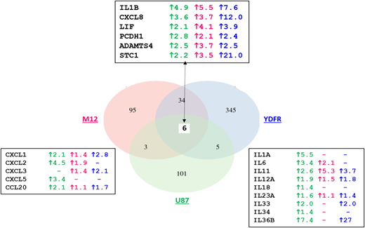 FIGURE 11. A comparison of the differentially expressed genes in the U87, M12, and YDFR cell lines that express the LY6S-iso1 protein. The upregulated genes in the cells expressing the LY6S-iso1 protein as compared with their respective control non-LY6S-iso1–expressing cells are represented as a Venn diagram, using the stringent criteria of adjusted p &lt; 0.05, maximum counts &gt; 30, and a fold change &gt; 2. The actual fold change for each cell line for the six genes that are upregulated in, and common to, all cell lines is shown in the top box (green, red, and blue fonts representing the U87, M12, and YDFR cells, respectively). The fold changes for certain chemokines (CXCL and CCL) and IL proteins are shown in the bottom left and bottom right boxes (dashes indicate no gene expression).