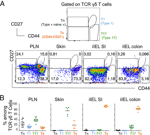 FIGURE 1. Intestinal intraepithelial TCR γδ T cells display distinct CD44 and CD27 expression compared with the peripheral γδ T cells. (A) Flow cytometry analysis gated on total CD45+CD3+γδ+ T cells from pLNs, skin, the epithelium of the small intestine (SI), and the colon from 6-wk-old mice. The upper row shows a schematic representation of gating strategy of T1, T17, and naive-like γδ T cells. The middle row shows a representative flow cytometry plot illustrating CD44 and CD27 expression. (B) Graphs indicate the percentage of T1 (CD44+CD27+) cells (blue), T17 (CD44+CD27−) cells (green), naive-like (black) γδ T (Tn) cells, and the CD44lowCD27low subset (Tx) (orange) among total γδ T cells (n = 6;11). All data are representative of three experiments.