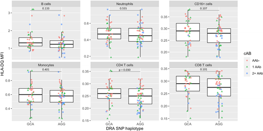 FIGURE 2. A pattern of decreased HLA-DQ cell-surface MFI on isolated peripheral blood cells was observed with the AGG relative to the GCA tri-SNP. Low, medium, and high cAB describe the burden of autoantibodies during follow-up in DiPiS. A pattern of decreased HLA-DQ MFI was observed with the AGG haplotype in all isolated cell types (n = 67 subjects). Lower HLA-DQ MFI was observed with the AGG haplotype in CD4+ T cells. Kruskal–Wallis test was used to compare HLA-DQ cell-surface MFI in the isolated cell subsets stratified by the GCA and AGG tri-SNPs. No observations remained significant after adjusting for multiple comparisons using the Benjamini–Hochberg method.