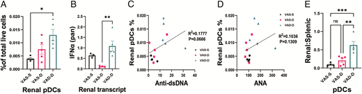 FIGURE 6. VAD-D enhanced early accumulation and activation of renal infiltrating pDCs. (A) Percentage of renal pDCs gated as CD11c+CD11b-B220+Siglec-H+ of total live cells at 7 wk of age. (B) The mRNA transcript level of pan-IFNα in the kidney as determined by RT-qPCR. (C and D) Correlations between the levels of anti-dsDNA autoantibodies (C) or ANAs (D) and the percentage of renal pDCs as determined with Pearson correlation analysis. (E) Ratio of renal to splenic pDCs. Data are represented as mean ± SEM. *p &lt; 0.05, **p &lt; 0.01, ***p &lt; 0.001 as determined using one-way ANOVA.