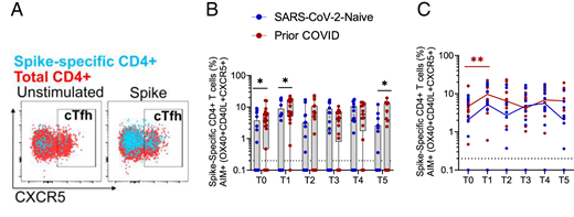 cTfh cell frequency in preimmune and naive subjects after vaccination.