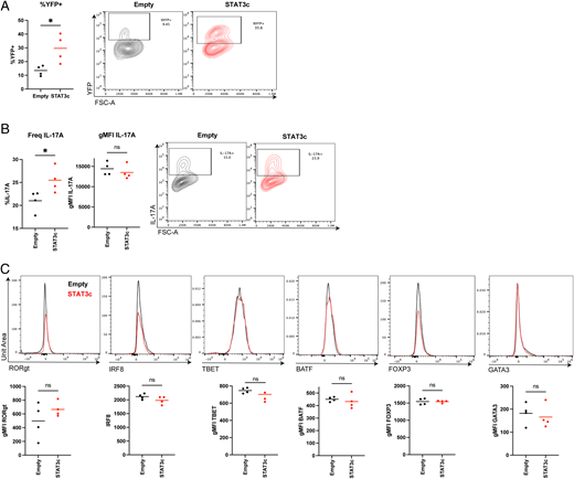STAT3 enhances IL-17A expression in YFP-negative cells without altering transcription factor levels.