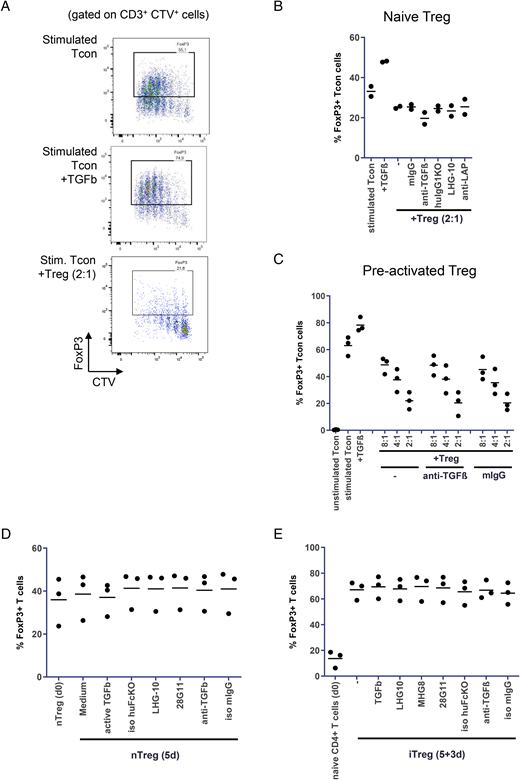 Treg do not enhance FOXP3 in Tcon, and neither TGF-β nor GARP enhances stability of Treg.