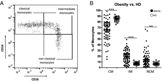Flow cytometric analysis of CD14/CD16 characterized monocyte subsets.