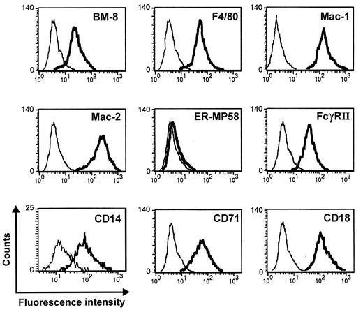 FIGURE 1. Mf4/4 cells express macrophage-specific differentiation Ags. Cell surface expression of the various differentiation Ags was assessed by indirect immunofluorescence (thick lines). The negative control was stained with the secondary Ab FITC-conjugated goat anti-rat IgG alone (thin lines).