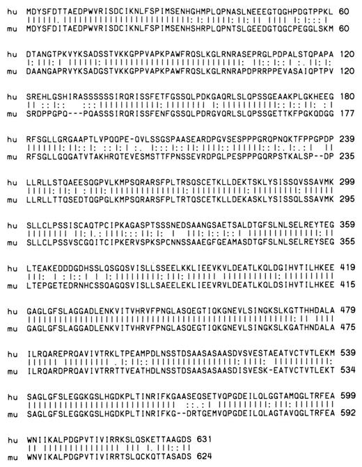 FIGURE 1. Alignment of the predicted human and murine pro-IL-16 amino acid sequences. The sequence of the originally reported 2150-bp human IL-16 cDNA (6) was extended by 5′ RACE, and cDNA clones of murine IL-16 were isolated as described in Materials and Methods. Alignment of the predicted amino acid sequences for the longest open reading frames in both the human (hu) and murine (mu) IL-16 cDNAs are shown. Between each residue of the two sequences a vertical bar represents a perfect match, a colon represents a favorable mismatch (weight table value > 0), a period represents a neutral mismatch (weight table value = 0), and a blank space represents an unfavorable mismatch (weight table value < 0).