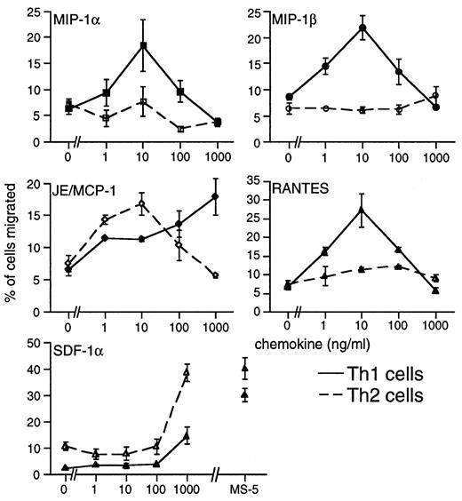 FIGURE 2. Transmigration of Th1 and Th2 cells. Th1 (solid line) and Th2 (dotted line) migrated in the chemotaxis assay toward the indicated chemokines or MS-5 (supernatant of a mouse stromal cell line containing SDF-1) over a time period of 1 h. The percentage of total cells that migrated to the lower chamber is given. The mean ± SD (triplicate determinations) for one representative of at least three independent experiments is given.