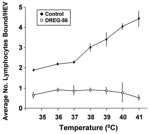 FIGURE 5. Temperatures within the physiologic range of febrile responses increase L-selectin-dependent lymphocyte-HEV interactions. Following culture of human PBL for 24 h at the indicated temperatures, cells were incubated 30 min at room temperature with 50 μg/ml of A4, an isotype-matched negative control mAb (closed circles) or DREG-56 (open circles). Lymphocyte adhesion to lymph node HEV was quantified as described. Error bars denote SD of triplicate samples. Results are representative of three independent experiments.
