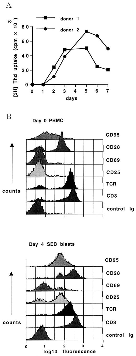 FIGURE 1. SEB stimulation of PBMCs leads to rapid proliferation and alterations in cell surface phenotype. A, SEB-stimulated cultures were set up on day 0 and cells taken daily to assess proliferation by overnight incorporation of [3H]TdR. B, Comparison of the cell surface phenotype of resting cells and cultures stimulated with SEB was undertaken using a panel of Abs against surface markers and assessed using flow cytometry. All figures are representative of three separate experiments.
