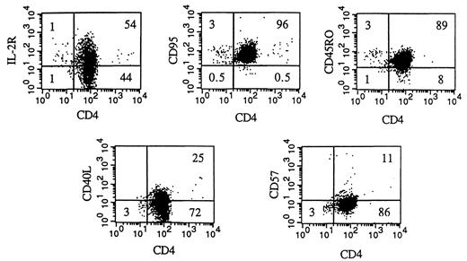 FIGURE 4. Phenotype of the expanded CD4+ T cell population at 6 wk. PBMC cultured for 6 wk in the presence of rIL-16 and rIL-2 were labeled with fluorescently conjugated Abs to IL-2R, CD95, CD45RO, CD40L, or CD57. The cells were also double labeled with fluorescently conjugated Abs to CD4. The percentage of positive cells is indicated numerically for each quadrant.