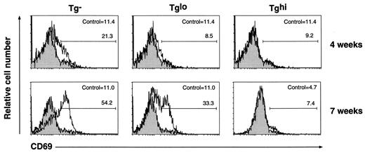 FIGURE 3. Accumulation of CD69high T cells correlates with relative abundance of Jak3. Splenocytes from unreconstituted and reconstituted (Tglo and Tghi) mice were analyzed for expression of CD69, CD4, and CD8 at 4 and 7wk of age. Shown are representative CD69 profiles of CD4+ splenocytes and the percentage of CD69high cells in each case. The mean values for the percentage of CD69high cells are: 11.2 ± 4.9 (n = 8) for the control (Jak3+/−Tg−), 23.7 ± 5.2 (n = 5) and 38.2 ± 22.0 (n = 4) for Jak3−/−Tg− at 4 and 7 wk, respectively; 20.6 ± 7.1 (n = 6) and 32.2 ± 9.9 (n = 4) for Jak3−/−Tglow at 4 and 7 wk; 15.1 (n = 2) and 12.9 (n = 2) for Jak3−/−Tghigh at 4 and 7 wk. The shaded graphs represent Jak3+/− controls in each experiment.