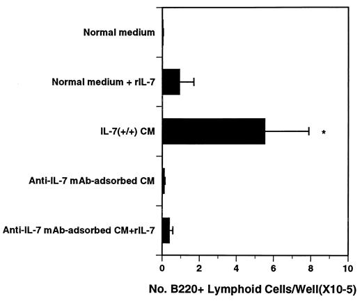 FIGURE 3. Adsorption with anti-IL-7 mAb prevents IL-7 (+/+) CM from supporting lymphopoiesis in pro-B-type cultures of rat BM. Tenfold concentrated IL-7 (+/+) CM was adsorbed with anti-IL-7 mAb on Protein A-Sepharose beads, after which aliquots were reconstituted with rIL-7 (5 ng/ml). Triplicate wells were inoculated with 5 × 105 freshly harvested rat BM cells/ml and incubated for 4 days. Results indicate mean numbers of total B-lineage cells (± SD) in 3 experiments. *Denotes value significantly greater (p < 0.05) than that for adsorbed CM, with or without rIL-7. No significant reduction in lymphopoietic activity was observed by sham-adsorption of CM with Protein A-Sepharose beads alone or conjugated with IgG2b isotype control mAb.