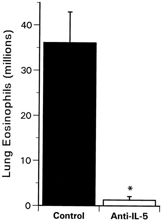 FIGURE 7. Effect of IL-5 neutralization on eosinophil recruitment into the lungs of C. neoformans-infected C57BL/6 mice at 2 wk postinfection. The data shown are the absolute number of eosinophils in whole lung after perfusing the lungs free of blood. Mice were treated with either irrelevant IgG (control) or anti-IL-5 mAb on days 0 and 4 of infection. Eosinophils were identified and quantified by Wright-Giemsa staining of leukocytes isolated from enzymatically digested lungs as outlined in Materials and Methods. * indicates p < 0.05 compared with control mice.