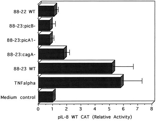FIGURE 2. Products of the cag pathogenicity island are required for induction of IL-8 expression in AGS epithelial cells by cag+ H. pylori cells. AGS cells were transfected with 10 μg of the pIL-8 WT CAT plasmid for 24 h. Samples were treated with 0.5% FCS medium alone (medium control) or with 0.5% FCS medium containing either H. pylori cells or 103 U of TNF-α. AGS cell lysates were prepared 24 h after stimulation and analyzed for β-galactosidase and CAT activities. The CAT activity results are presented as described in Figure 1, representing a mean of four transfections.