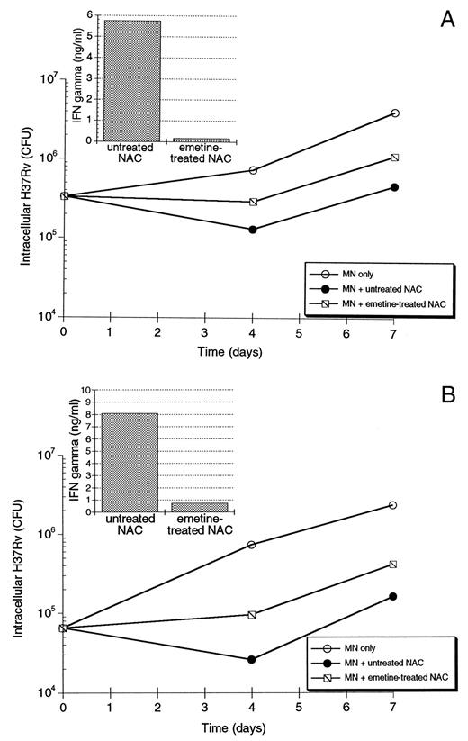 FIGURE 8. Chemical inhibition of lymphokine production does not eliminate the ability of NAC to mediate the reduction in intracellular growth of M. tb H37Rv within human MN. Each figure demonstrates the effects of treatment of NAC from one PPD-positive subject with emetine. The larger graphs illustrate the comparison of CFU of M. tb H37Rv within MN alone to growth within infected MN to which either untreated NAC or emetine-treated NAC were added. Insets indicate IFN-γ concentrations at 4 days of coculture of M. tb-infected MN and either untreated NAC or emetine-treated NAC. For each subject, treatment of NAC with emetine resulted in prolonged inhibition of cytokine production. Nevertheless, emetine-treated NAC of subject 1 (A) were 43% as effective as untreated NAC at limiting intracellular growth of H37Rv. Similarly, emetine-treated NAC of subject 2 (B) were 39% as effective as untreated NAC at limiting intracellular growth.