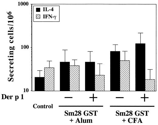 FIGURE 5. Ex vivo frequency analysis of IL-4-producing cells (solid bars) and IFN-γ-producing cells (shaded bars) after immunizations with Sm28-GST in the presence or absence of Der p 1. Mice (three or five/group) were immunized once s.c. with Sm28-GST (20 μg/mouse; in CFA or alum) alone, or in the presence of 20 μg of Der p 1. Seven days after immunizations, mice were killed, spleen cells from individual mice (first experiment) or from each group were pooled (second experiment), and serial dilutions of the cells deposited on anti-IL-4- or anti-IFN-γ-coated wells to determine the frequency of cytokine-producing cells.