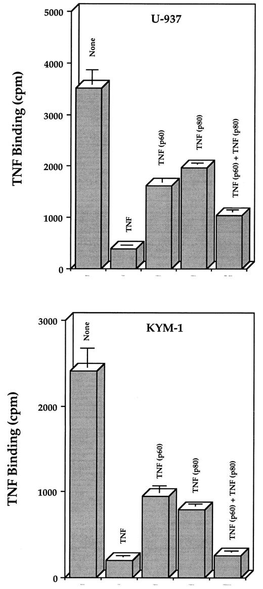 FIGURE 1. Displacement of the binding of labeled TNF to U937 (upper panel) and KYM-1 (lower panel) cells by unlabeled TNF and TNF (p60) and TNF (p80) muteins. Cells (0.5 × 106/0.1 ml) were incubated with labeled TNF (0.2 × 106 cpm) in the presence or the absence of 100 nM excess cold TNF, TNF (p60), or TNF (p80) for 1 h at 4°C. Thereafter, cells were washed and counted as described in Materials and Methods. All measurements were conducted in triplicate.