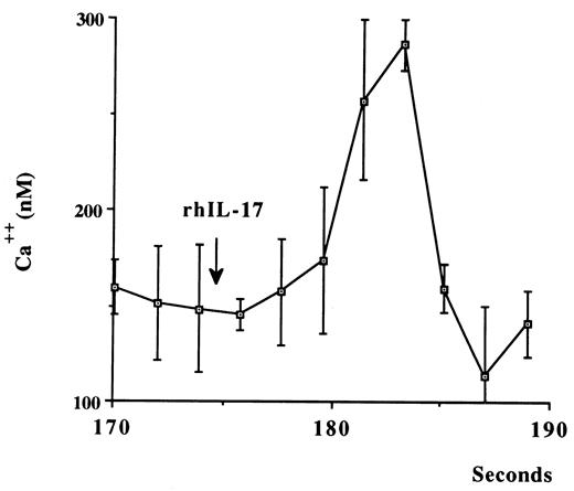 FIGURE 4. Stimulation of Ca2+ flux by rhIL-17. Macrophages were loaded with 2 μM fura-2/AM in culture medium containing 1% FCS for 30 min at 37°C. They were then rinsed with HBSS, harvested with trypsin-EDTA, pelleted, and then washed twice with HBSS. Cells were resuspended in a volume of 2 ml of HBSS (Ca2+ concentration, 1.3 mM) and equilibrated to 37°C, and 50 ng/ml of IL-17 was added dissolved in minimal volumes of HBSS. Fluorometric measurements were made with a Perkin-Elmer PE LS50B spectrofluorimeter coupled with a 386SX PC equipped with dual wavelength determination software. Excitation wavelengths were set at 340 and 380 nm, and emission was detected at 510 nm. Readings were taken every 5 s for 10 min, and the [Ca2+]i was computed from the fluorescence ratio data, as previously described (Grynliewicz et al., Ref. 18).