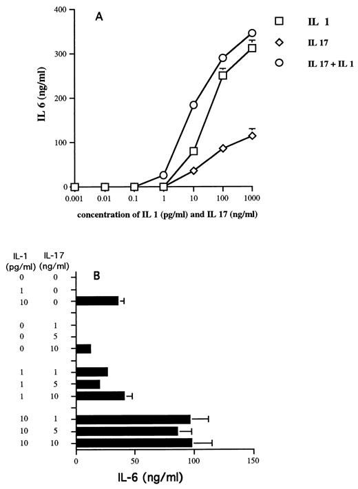 FIGURE 1. Effect of the combination of IL-1β and IL-17 on IL-6 production. A, Synoviocytes were cultured with increasing concentrations of IL-1β, measured in pg/ml, and IL-17, ng/ml, used alone and in combination. B, Synoviocytes were cultured with the combination of increasing concentrations ranging from 0 to 10 pg/ml of IL-1β and from 0 to 10 ng/ml of IL-17. IL-6 levels were measured by ELISA in day 7 supernatants.