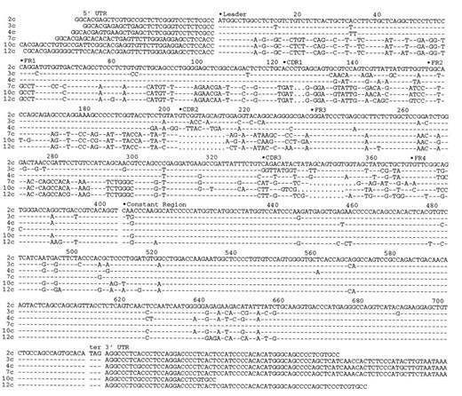FIGURE 1. Nucleotide alignment of six full-length cDNA clones, including 5′ and 3′ untranslated regions (UTR). The starting point for the leader, FR, CDR, and constant regions are indicated by a filled circle. The cDNAs are grouped based on the similarity of V sequences from FR1 through FR3.