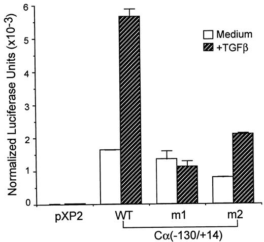 FIGURE 6. Effects of mutations in the α TβRE on luciferase reporter gene expression in I.29μ cells. The wild-type (−130/+14) and mutated (−132/+14) segments of the GL α promoter (except m1- or m2-TβRE, which have an additional A or GA sequence upstream of −132, respectively) were inserted upstream of the luciferase reporter gene in the enhancerless, promoterless pXP2 plasmid. Luciferase activities of reporter plasmids transiently transfected into I.29μ cells are shown. TGF-β1 was added immediately after transfection and again 7 h after transfection at 1 ng/ml each time. Luciferase activity was assayed 24 h after transfection. The mean ± SE from at least three independent experiments are reported after subtraction of background (no cell extract) of 200–300 light units. Variation in transfection efficiency among different plasmids was corrected by the activity of pSV2CAT, which was cotransfected with the luciferase plasmids.