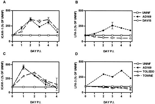 FIGURE 5. The effect of infection of fibroblasts with different strains of CMV on the cell surface expression of adhesion molecules. Fibroblasts were infected with the CMV strains AD169, Davis, Toledo, or Towne, or they were left uninfected (UNINF). Expression of ICAM-1 (A and C) and LFA-3 (B and D) was measured by flow cytometry on days 1 to 5 postinfection. The MFI values are expressed as a percentage of the level obtained for uninfected cells on each day.