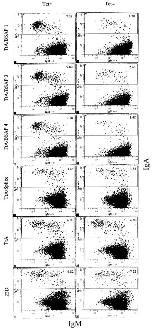 FIGURE 3. FACS data demonstrating inhibition of IgA switching by overexpressed BSAP. Cells from the indicated clones were stimulated with LPS, TGF-β1, and nicotinamide in the presence or absence of tetracycline for 3 days, and the proportions of mIgA+ and mIgM+ cells were determined by flow cytometry. Tetracycline was removed at the time of the induction of switching. The percentage of mIgA+ cells is indicated within each plot. mIgA+ cells are always less than 0.5% in the absence of stimuli, regardless of the presence or absence of tetracycline. Three independent experiments were performed, and similar results were obtained.