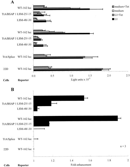 FIGURE 9. Enhancement of germline ε promoter activity by overexpressed BSAP. Transient transfection assays of the germline ε promoter activity in clones treated with LPS (L) + IL-4 (I). The indicated cells were precultured in the absence or presence of tetracycline (Tet) for 2 days. After transfection, they were treated as indicated for 24 h. The luciferase reporter plasmids contain either wild-type (WT) germline ε promoter −162/+53 segment, or the same ε promoter segment containing a LSM at −25 to −15 or at −48 to −30, which mutate the 3′ part and the 5′ part of BSAP recognition sequences, respectively. A, Means and SE of luciferase activities from three independent experiments are shown. The data between experiments are normalized in comparison with the luciferase activity of WT-162 in TtA/BSAP clone 1 in the presence of Tet. B, The data from A are presented as enhancement of the germline ε promoter activity in the presence of LPS plus IL-4 by tetracycline removal.