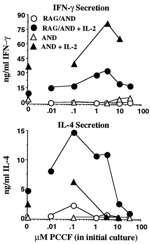 FIGURE 4. Comparison of effector generation in T cells from RAG/AND and AND mice. Cultures of naive CD4 T cells isolated from conventional AND transgenic mice (triangles) and from RAG/AND mice (circles) were set up as described in the legend to Figure 2 and restimulated on day 4 as described in the legend to Figure 3. The filled symbols represent effectors from cultures to which IL-2 (10 ng/ml) was added, while the open symbols were those from cultures without exogenous IL-2. Supernatants were collected at 24 and 48 h and assayed for IL-4 (top) and IFN-γ (bottom), respectively. The limit of detection for cytokines was 0.2 ng/ml. Results are representative of three to six individual experiments.