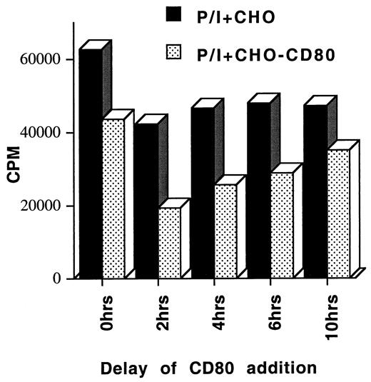 FIGURE 6. CD80-mediated inhibition is effective early after T cell activation. CD80 transfectants or control CHO cells were added to PI-stimulated T cells (5 ng/ml and 1 μM, respectively) at various time points after initiation of responses with PI activation. Cultures were incubated for a further 72 h, and proliferation was measured by [3H]thymidine incorporation.