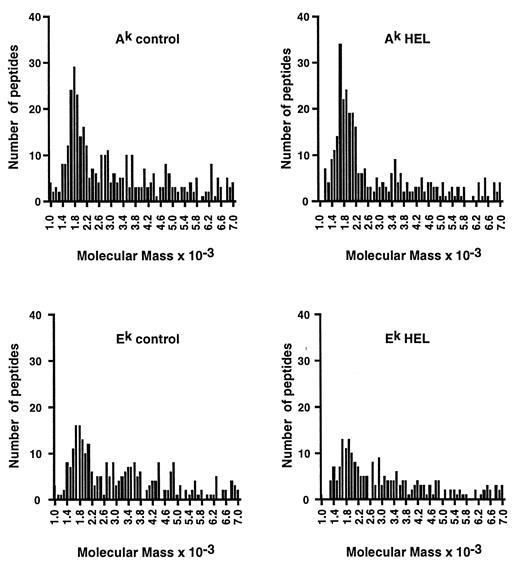 FIGURE 8. Extensive size distribution of peptides associated with MHC class II molecules from CBA splenocytes. CBA splenocytes were cultured in the presence of 10% FBS or 10% FBS and native HEL at 2 mg/ml. MHC class II molecules were purified by immunoaffinity chromatography on either an anti-Ak or an anti-Ek mAb column. After extensive washing, class II molecules and their bound peptides were eluted from the column and simultaneously dissociated using 0.1% TFA. The freed peptide pool was concentrated and fractionated by reverse phase HPLC, and the individual HPLC fractions were analyzed by matrix-assisted laser desorption ionization mass spectrometry. The frequency distribution of peptides of molecular mass between 1000 and 7000 Da isolated from each of the four samples, in groups of 100 mass units, is plotted against the number of distinct peptides identified by mass spectrometry. The y-axis indicates the number of different peptides of the indicated molecular mass that were observed, not the amount of any individual peptide species of a given mass. Smaller molecular mass peptides (between 1400–2000 Da) were present in much greater overall amount than larger species.