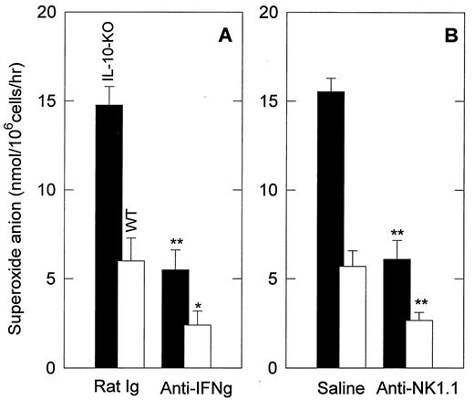 FIGURE 2. In vivo priming of mouse alveolar Mφ induced by i.v. injection of chitin in KO mice pretreated with mAbs against IFN-γ or NK1.1. KO (▪) and WT (□) mice (three mice/group) were injected i.p. with rat anti-IFN-γ IgG at 1 mg (A) or mouse anti-NK1.1 IgG at 5 mg (B) 1 day before i.v. injection of chitin at 0.2 mg/mouse. Control mice in A and B received rat IgG (1 mg) or saline, respectively, before the injection of chitin. Three days after chitin injection, alveolar Mφ in each mouse were assayed in vitro for PMA-elicited superoxide anion release. Results are expressed as mean ± SD, n = 3. ∗, p < 0.05 and ∗∗, p < 0.01 compared with the control (rat Ig) or (saline) group.