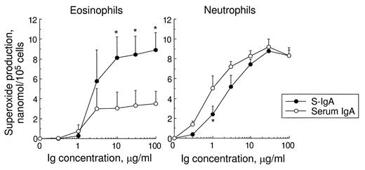 FIGURE 2. Superoxide production by eosinophils and neutrophils stimulated with S-IgA or serum IgA. The wells of 96-well tissue culture plates were coated with various concentrations of S-IgA or serum IgA and blocked with DCS. Isolated eosinophils or neutrophils were added to the wells, and superoxide production was measured by the reduction of cytochrome c as described in Materials and Methods. The results of superoxide production at 120 min of incubation are summarized. Data are presented as mean ± SEM from four independent experiments. ∗, significant differences (p < 0.05) compared with cells incubated with the same concentrations of serum IgA.