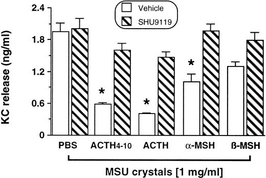 FIGURE 5. SHU9119 prevents ACTH4–10 inhibition of KC release from activated Mφ. ACTH4–10 (100 μg/ml), ACTH (100 ng/ml), α-MSH (10 μg/ml), or β-MSH (10 μg/ml) were added to adherent Mφ with or without 10 μg/ml SHU9119. Cells were stimulated 30 min later with 1 mg/ml MSU crystals, and KC protein was measured in the medium at 2 h by ELISA. Data are mean ± SEM of n = 4–15 distinct samples. ∗, p < 0.05 vs appropriate PBS group.
