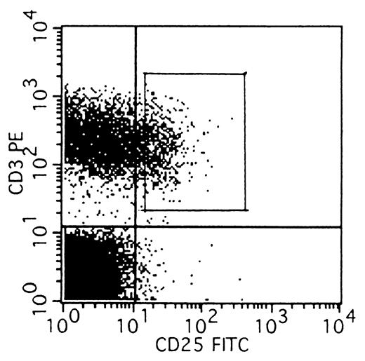 FIGURE 2. Flow cytometric identification of CD3+CD25+ population. PBMC from HS and MS were stained with anti-CD25-FITC and anti-CD3-PE and analyzed by flow cytometer. This is a representative profile of the sample of an MS. The CD3+CD25+ population was sorted and used for SSCP clonotype analysis.