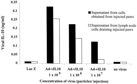 FIGURE 1. Production of viral IL-10 by paws and lymph node cells following in vivo injection of virus. Groups of three mice were injected periarticularly with Ad-vIL-10 at different concentrations (1 × 107 to 1 × 109 particles/paw). Three weeks after injection of Ad-vIL-10 virus, lymph node cells draining the paw were cultured as single cell suspensions (5 × 106 cells/ml) for 72 h. Paws injected with Ad-vIL-10 were cut off at the hairline, skin was removed, and remaining tissues were finely minced. Cell suspensions obtained from paw exudates were washed once in PBS and cultured in media for 72 h. Supernatants of lymph node and paw exudate cultures were assayed for secreted viral IL-10 by ELISA, as described in Materials and Methods.