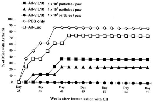 FIGURE 2. Effect of Ad-vIL-10, injected periarticularly in all four paws, on the development of CIA. Groups of eight mice were immunized with 100 μg bovine collagen type II on day 0. On day 28, treatment groups received separate periarticular injections of either Ad-vIL-10 (1 × 107 to 1 × 109 particles), Ad-Luc (1 × 109 particles), or equal volumes of PBS into each paw. Mice were assessed three times per week for the onset of arthritis. Values are the percentage of mice in each group with a macroscopic score of >1.