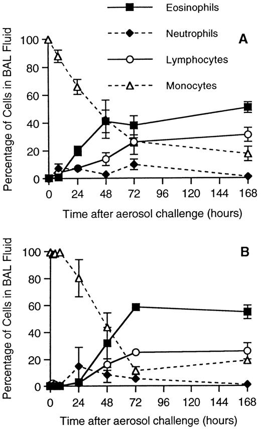 FIGURE 1. Time course of pulmonary cellular influx after OVA aerosol challenge. In the conventional model, groups of four mice were sensitized with OVA 2 wk before a single aerosol challenge, and cells were harvested at various times postchallenge (A). In the adoptive transfer model, splenocytes from sensitized mice were cultured in the presence of OVA for 3 days and transferred to groups of four naive recipient mice. The recipients were challenged by aerosol with OVA 3 days posttransfer, and cells were harvested at various times postchallenge (B). The results presented are percentages of BAL fluid leukocytes at different times after aerosol challenge. Peak values for total eosinophil numbers 7 days postchallenge are 789,000 for the conventional model and 582,000 for the adoptive transfer model. Control groups receiving either saline immunization or saline-aerosol challenge had undetectable levels of BAL eosinophils (data not shown).