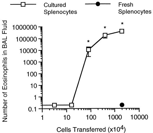 FIGURE 3. Cell titration for induction of pulmonary eosinophilia in the adoptive transfer model. Splenocytes from sensitized mice were cultured for 3 days in the presence of OVA, and the indicated number of cultured cells was injected i.p. into recipient mice. After 3 days, these mice were given a single OVA aerosol challenge, and cells were harvested 3 days later. The number of BAL fluid leukocytes was enumerated by Coulter counter, and the percentage of eosinophils was determined by differential counting.