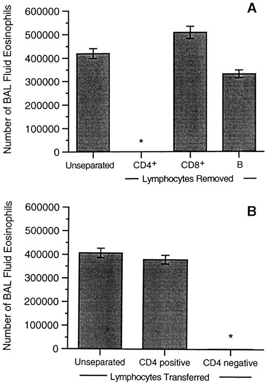 FIGURE 4. CD4+ T cells are responsible for the transfer of pulmonary eosinophilia. Using magnetic bead negative selection, CD4+, CD8+, and B cells were removed from the OVA-sensitized splenocyte preparation, and the remaining cells were transferred to naive recipients. Using magnetic bead positive selection, CD4+ and CD4− splenocytes were also isolated and transferred to naive recipients. After OVA aerosol and harvest, BAL fluid eosinophils were counted. The dependence of CD4+ cells, and not CD8+ or B cells, in the induction of pulmonary eosinophilia was seen with both negative (A) and positive (B) selection techniques.