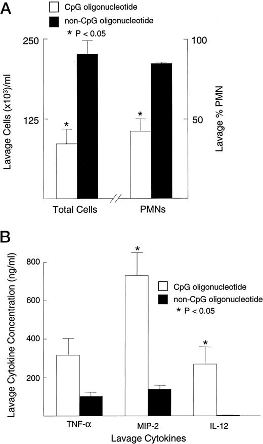 FIGURE 7. Concentration of total cells and percentage of PMNs (A) and concentration of cytokines (B) in the whole lung lavage fluid following inhalation of E. coli LPS. At 2 h before the inhalation challenge, IFN-10 KO mice (C57BL/6-IFN-γtm1Ts) were treated i.v. with 25 μg of an oligonucleotide containing embedded unmethylated CpG motifs or with i.v. saline. Five mice were used for each condition. Error bars, SE.