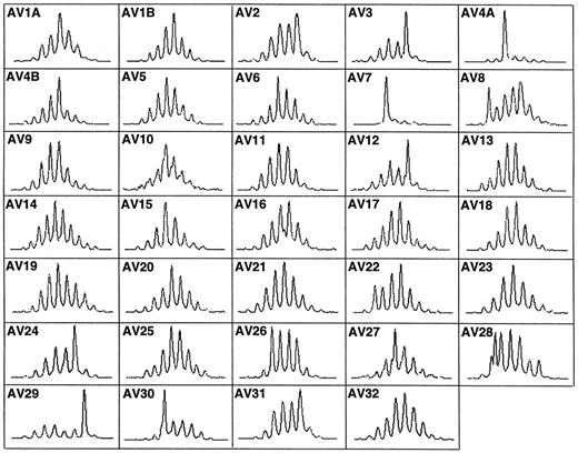 FIGURE 2. Representative TCRAV spectratype profiles derived from the PCR amplification of cDNA from PBMC samples from one donor. The x-axis of each plot corresponds to size in nucleotides; peaks are separated by 3 bases to correspond to in-frame transcripts. The y-axis corresponds to fluorescence intensity and is proportional to the frequency of transcripts present in that peak.