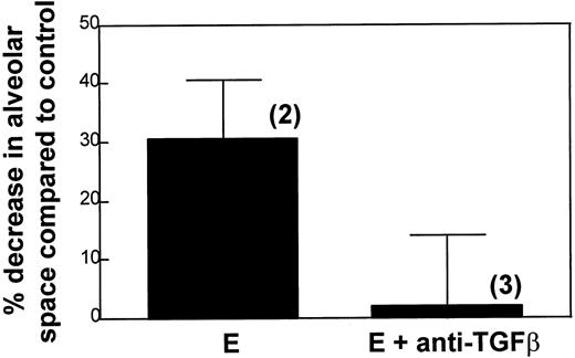 FIGURE 8. Inhibition of lung fibrosis by anti-TGF-β Abs. Bars represent the mean and SD of the percentage of decrease in alveolar space of (n) animals with Scl GVHD (untreated or anti-TGF-β treated) as compared with control animals (three animals) from one representative experiment (of three). p < 0.0003 when using a paired t test to compare Scl GVHD animal (E) alveolar space with control (C) animal alveolar space. Paired t test analysis revealed that there was no significant difference between the Scl GVHD animals treated with anti-TGF-β Ab and the syngeneic control BMT animals indicating that the Ab treatment prevented lung fibrosis. The percentage of alveolar space was determined by image analysis of hematoxylin and eosin-stained tissue sections using Optimas software as described in Materials and Methods.