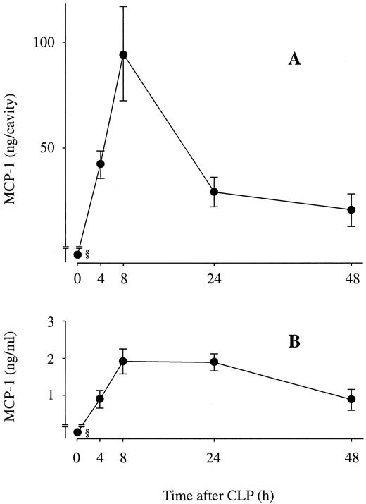 FIGURE 2. Kinetics of MCP-1 levels in the peritoneal fluids (A) and sera (B) after CLP. At indicated intervals after CLP, mice were euthanized and bled, and the peritoneal fluids and sera were harvested. The amounts of MCP-1 in peritoneal fluids (A) and sera (B) were measured by specific sandwich ELISA. Each point represents the mean ± SEM of six estimations from separate mice (total mice: 24). §, Below detection level.