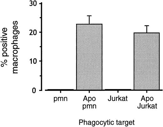 FIGURE 1. Uptake of apoptotic cells by J774 macrophages. Apoptotic (Apo) or nonapoptotic Jurkat cells or human neutrophils (pmn) were added to J774A.1 cells at a 5:1 ratio and incubated for 1 h. Phagocytosis was evaluated by light microscopy, as described previously (7 ); values are mean ± SEM of at least seven independent experiments.